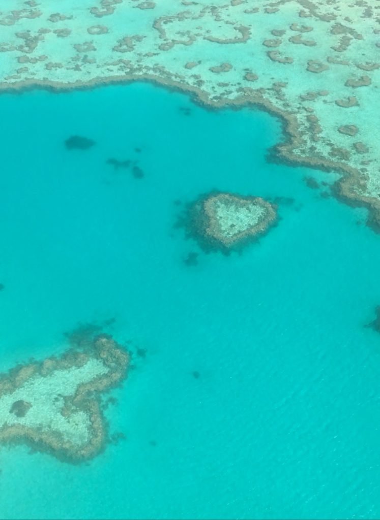 grande barrière de corail australie