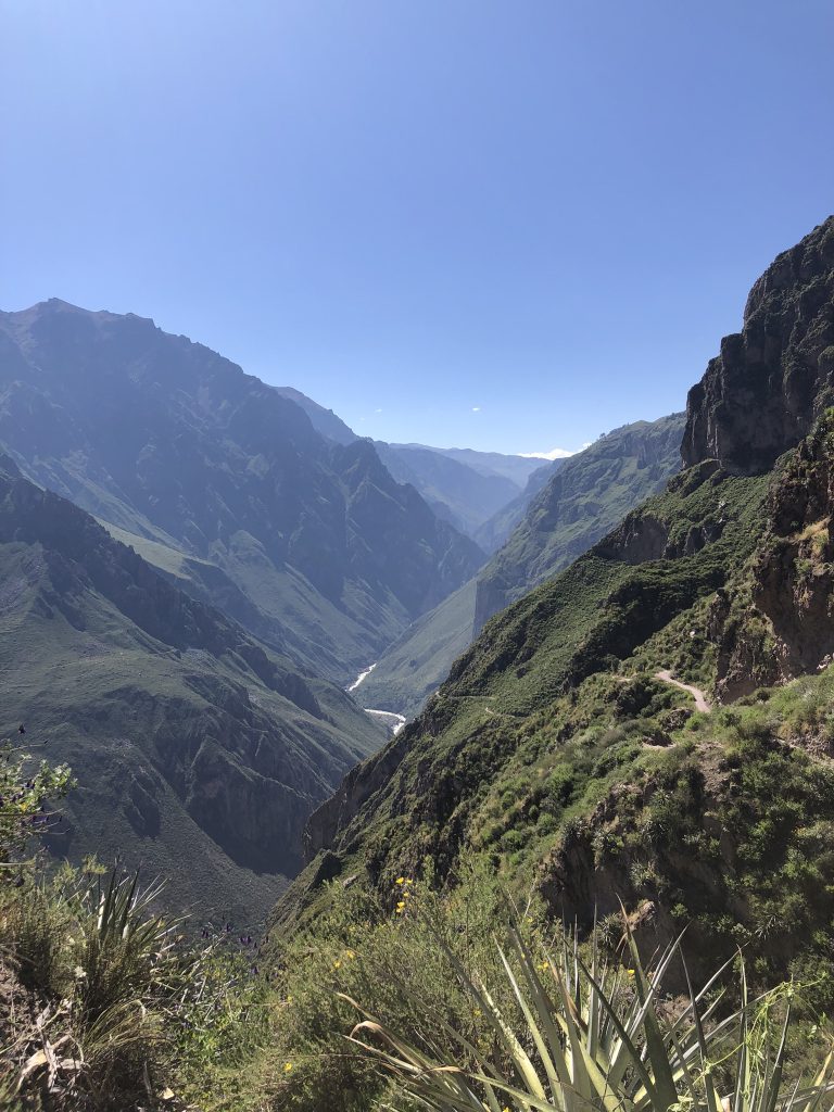 canyon de colca pérou