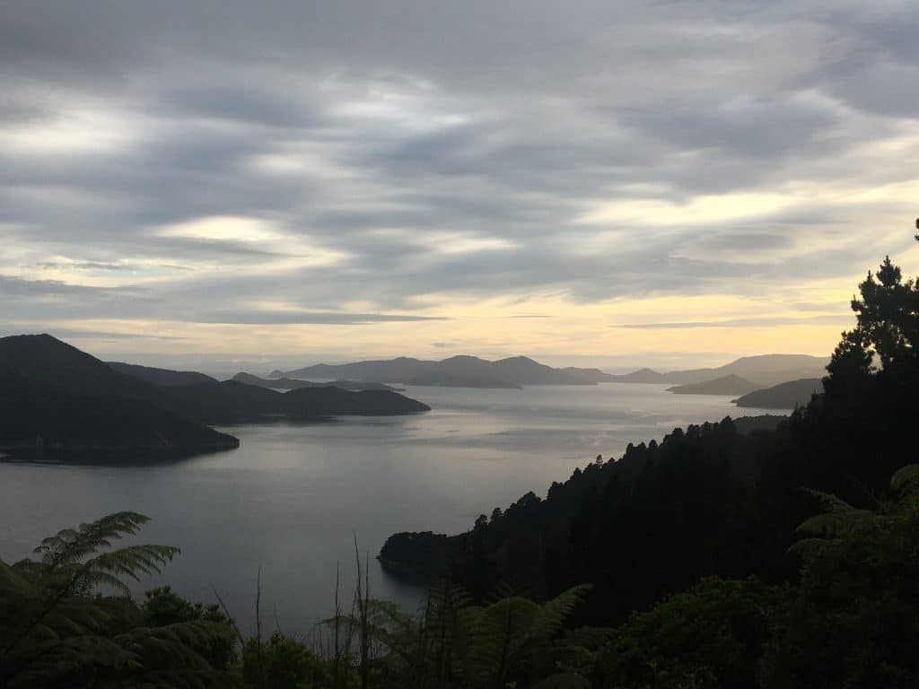 paysage mon premier trek queen charlotte track en nouvelle zélande