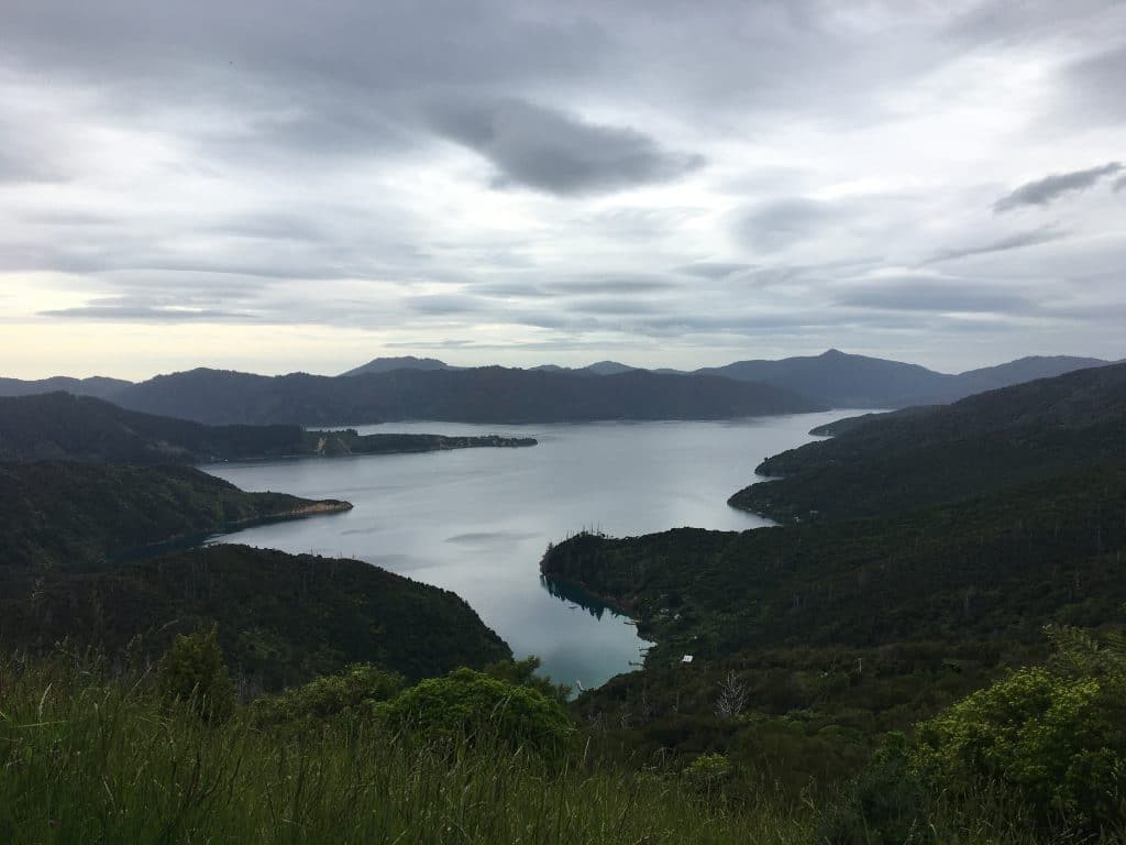 queen charlotte track nouvelle zélande