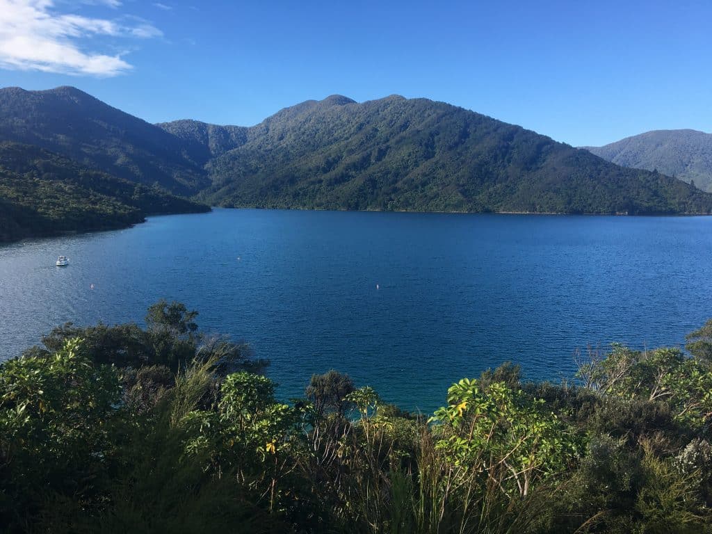 queen charlotte track mon premier trek nouvelle zélande