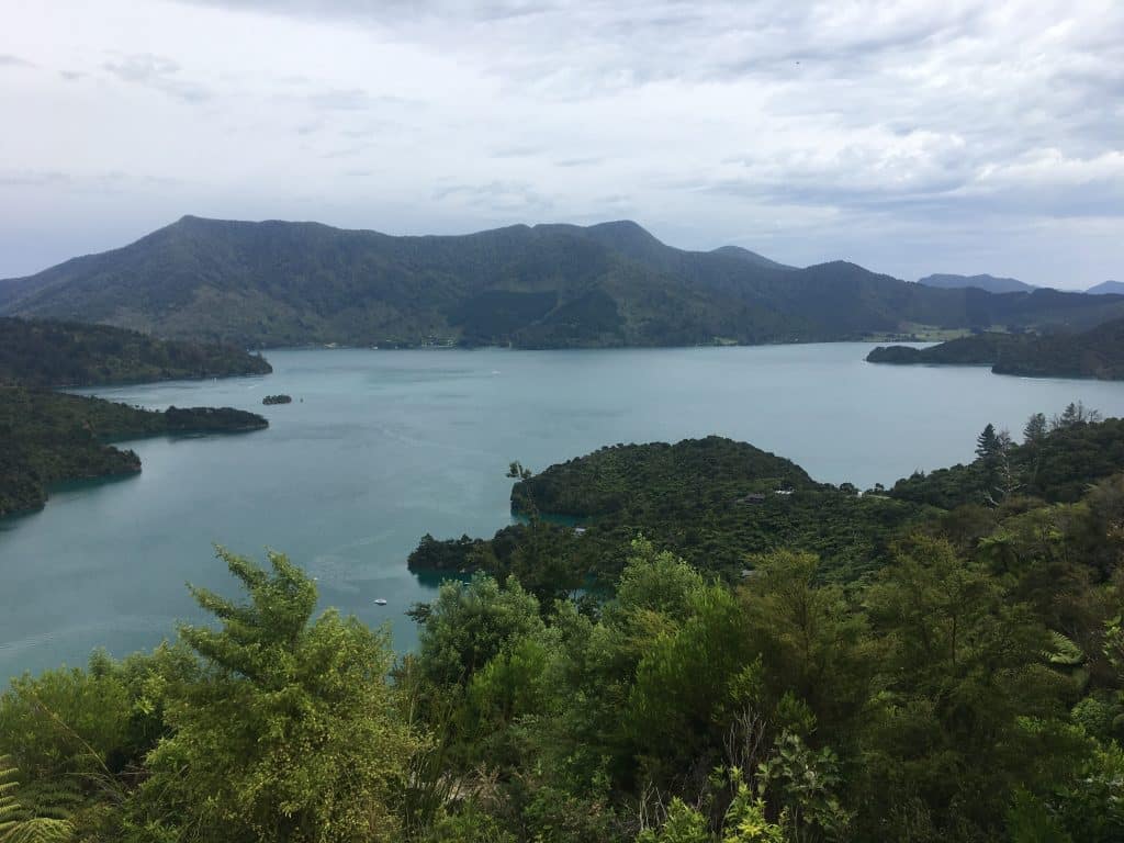  queen charlotte track  nouvelle zélande