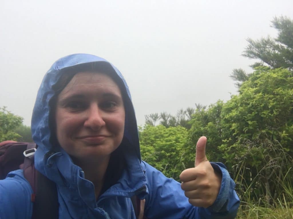 queen charlotte track nouvelle zélande 