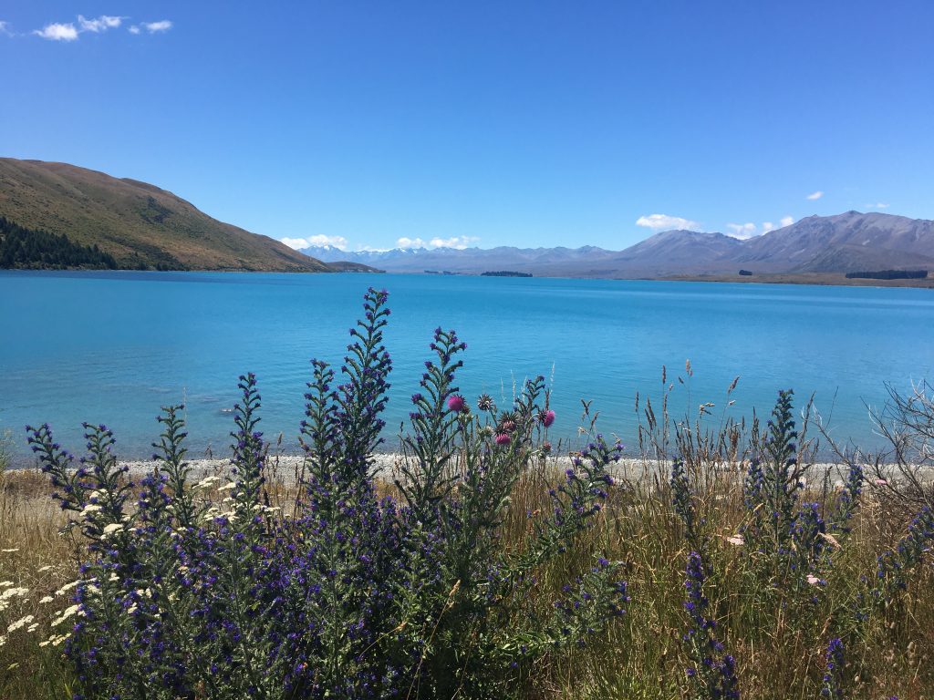 lake tekapo